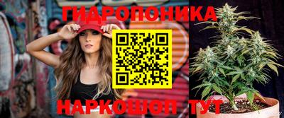 mdpv Беслан
