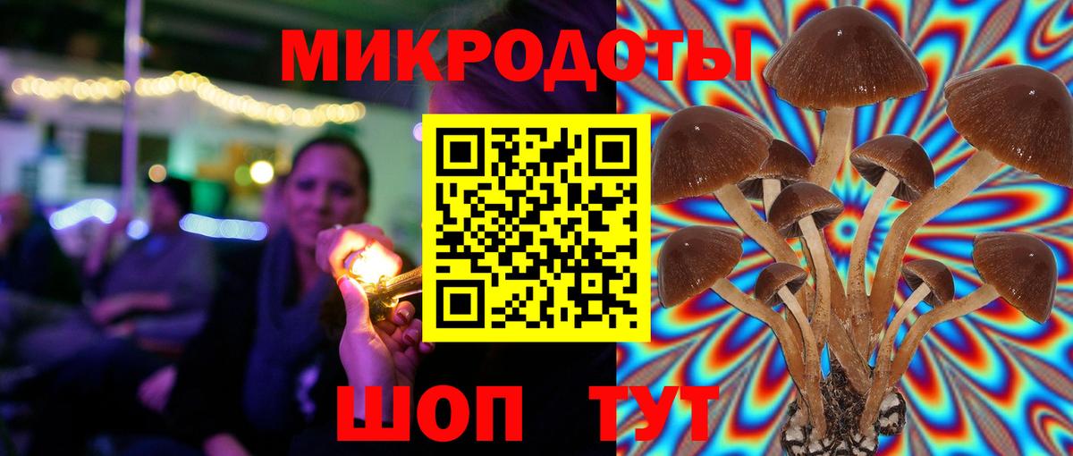 Псилоцибиновые грибы мухоморы Качканар